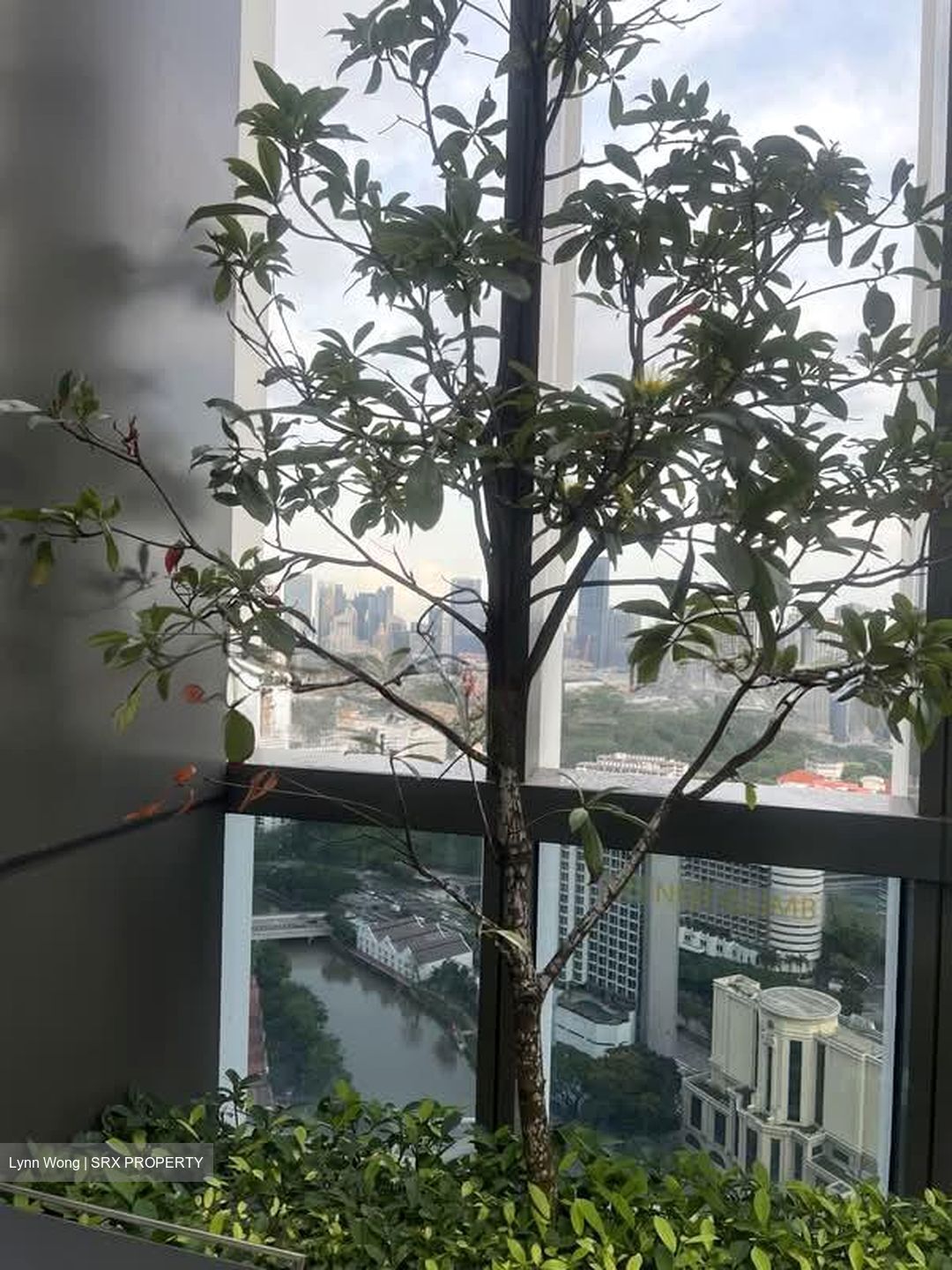 Riviere  (D3), Condominium #592732291
